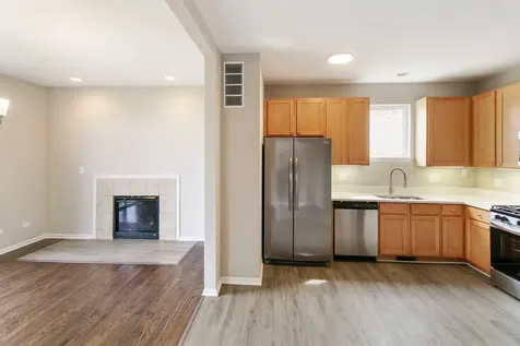 22429 Karlov Avenue Richton Park IL 60471
