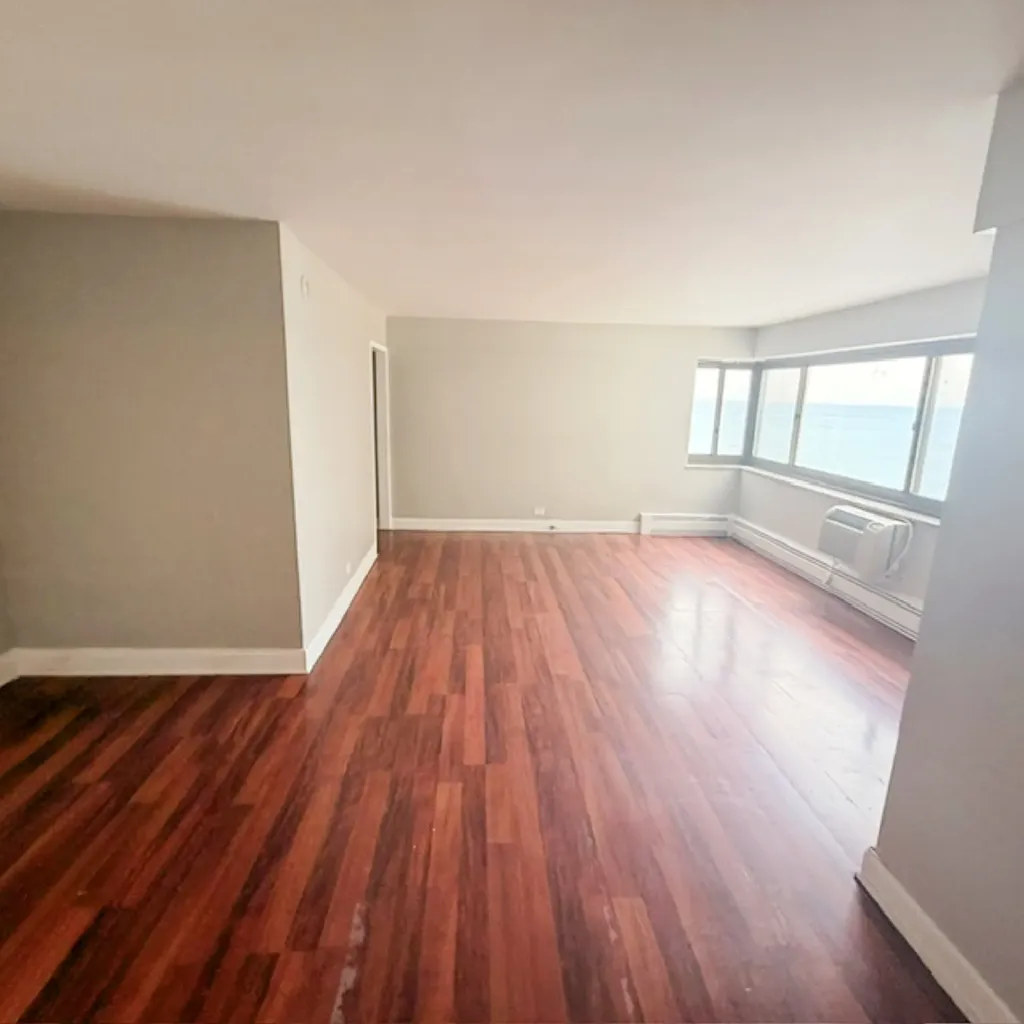 7337 South South Shore Drive Chicago IL 60649