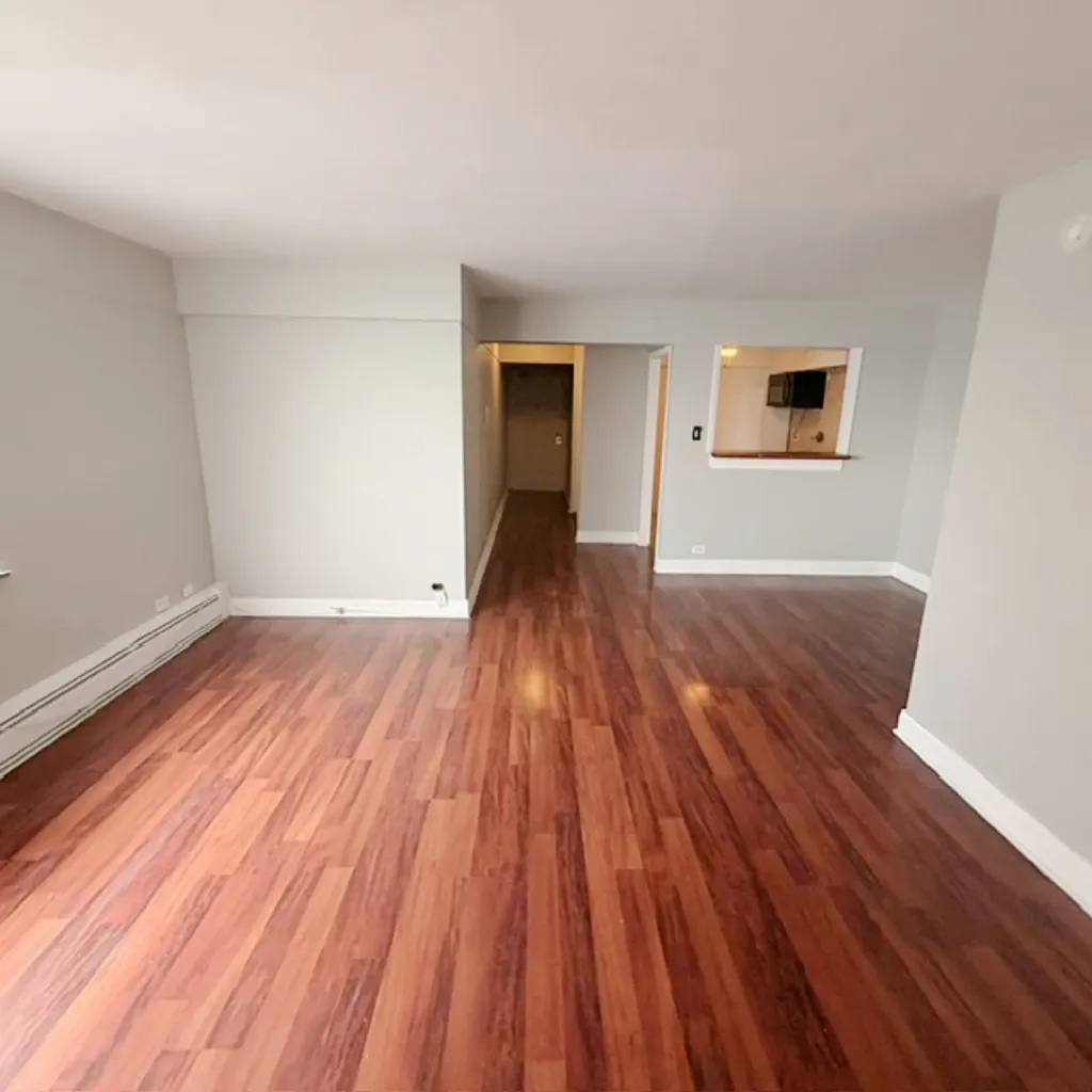 7337 South South Shore Drive Chicago IL 60649