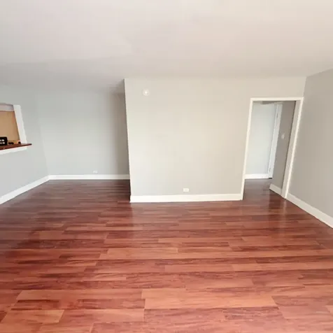 7337 South South Shore Drive Chicago IL 60649