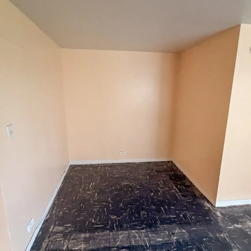 7337 South South Shore Drive Chicago IL 60649