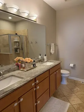 10646 Gabrielle Lane Orland Park IL 60462