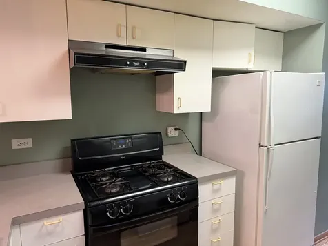 727 South Ashland Avenue Chicago IL 60607