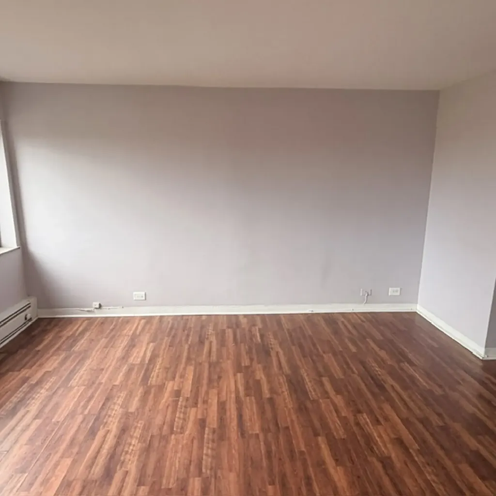 7337 South South Shore Drive Chicago IL 60649