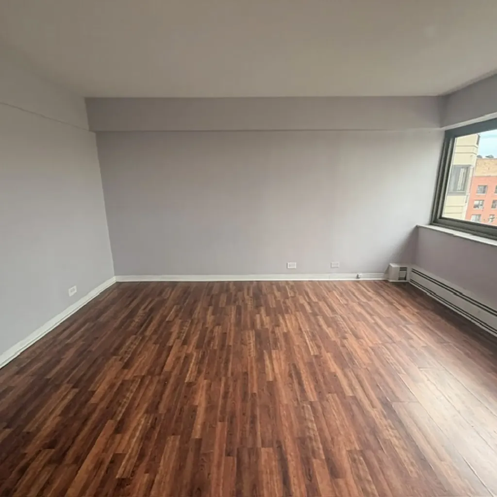 7337 South South Shore Drive Chicago IL 60649
