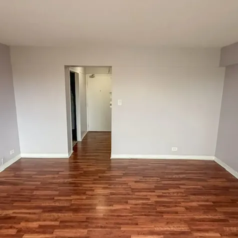 7337 South South Shore Drive Chicago IL 60649