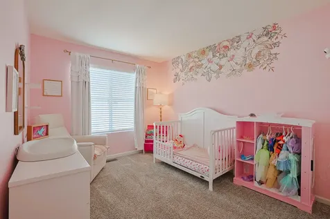 2442 Alison Avenue Pingree Grove IL 60140