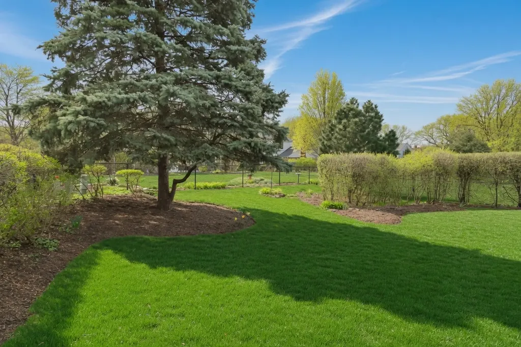 1554 Chickasaw Drive Naperville IL 60563