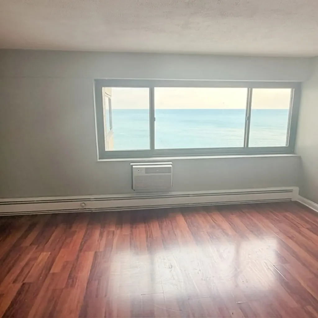 7337 South South Shore Drive Chicago IL 60649