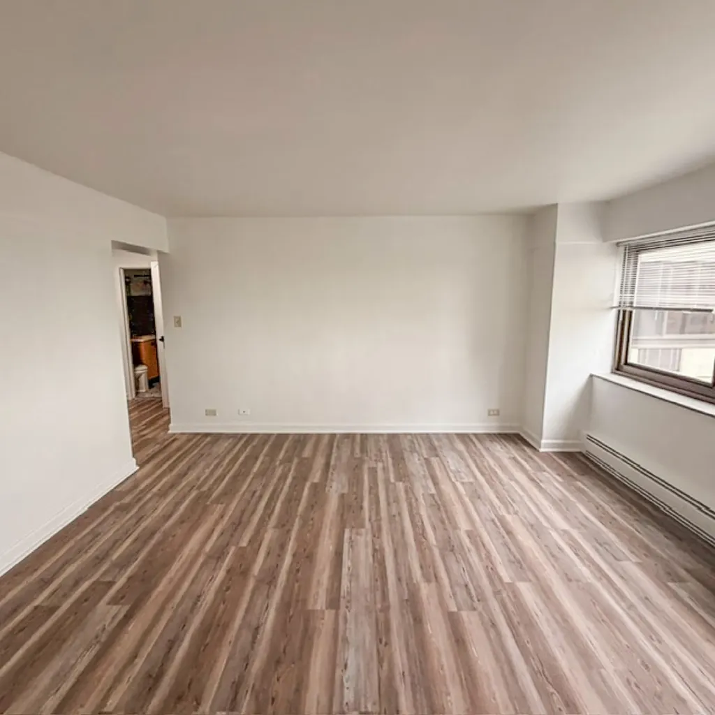 7337 South South Shore Drive Chicago IL 60649