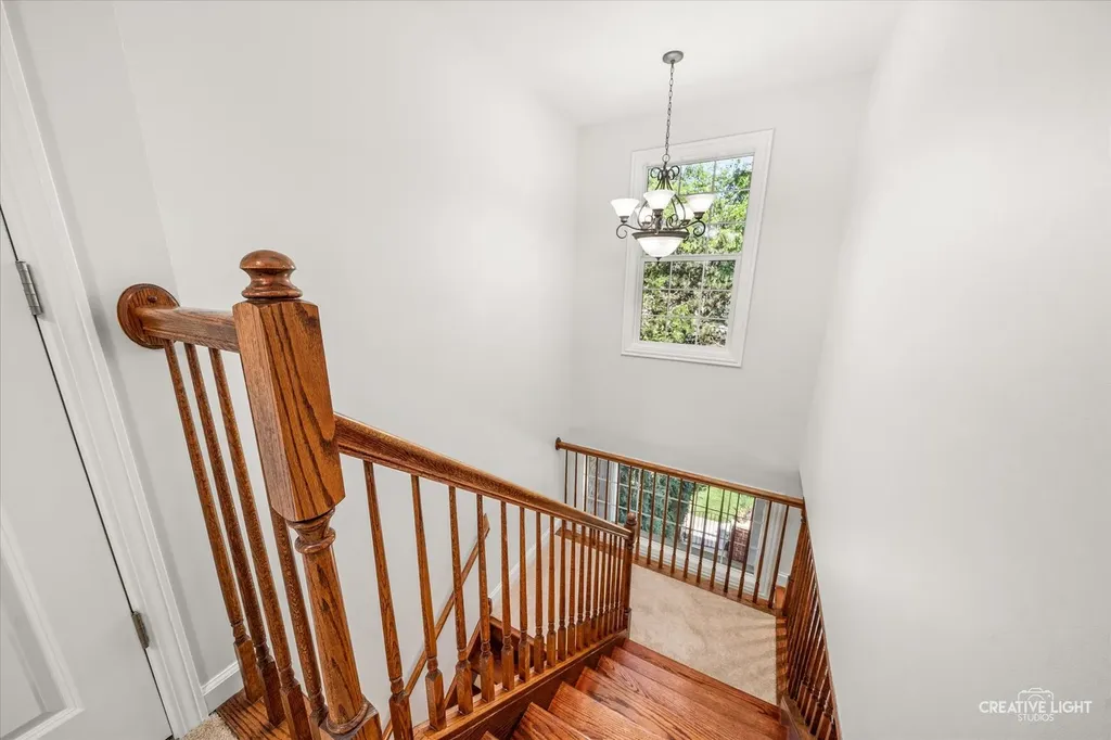 926 Shandrew Drive Naperville IL 60540