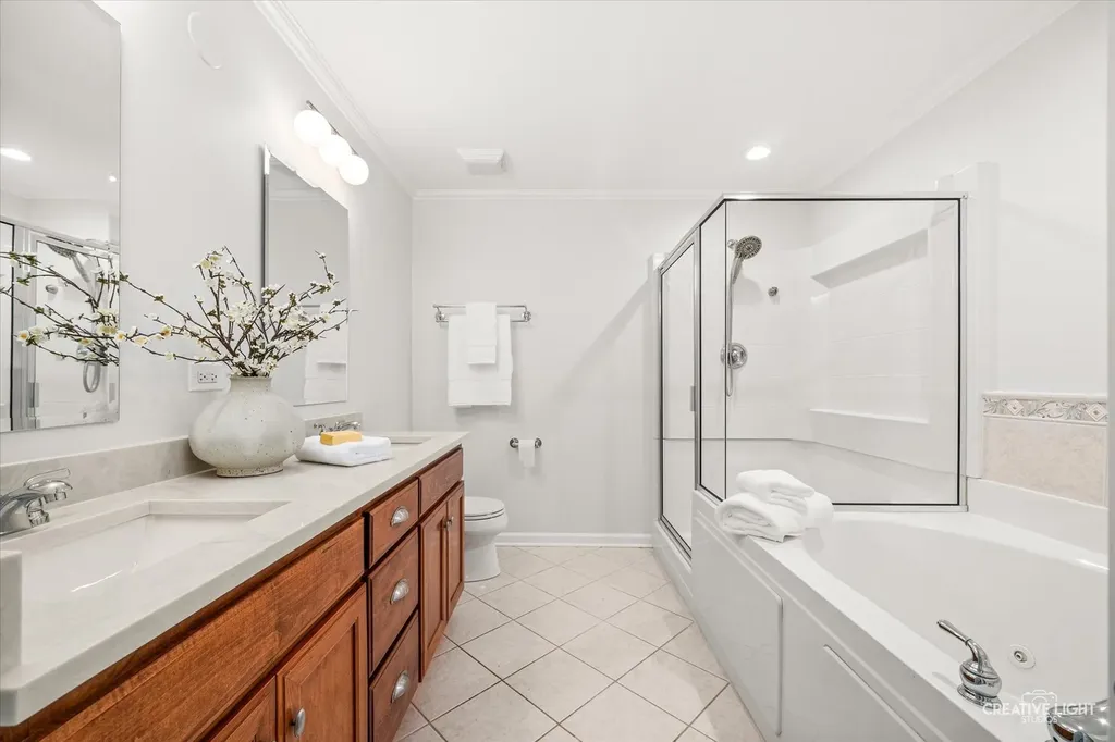 926 Shandrew Drive Naperville IL 60540