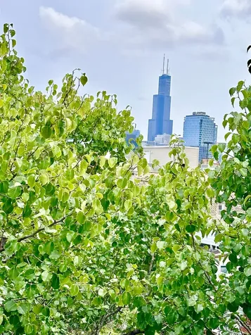 650 North Armour Street Chicago IL 60642