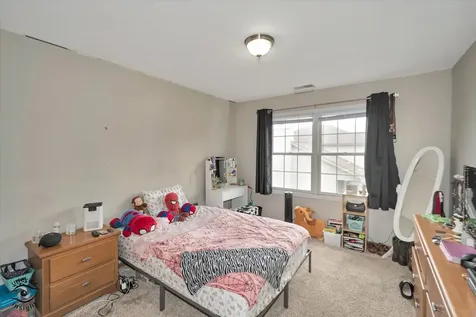 1013 Heron Avenue Peotone IL 60468