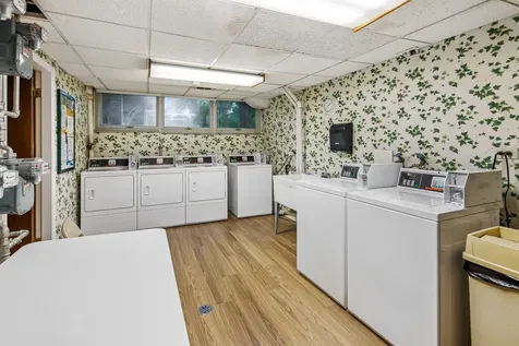 1535 Park Avenue River Forest IL 60305