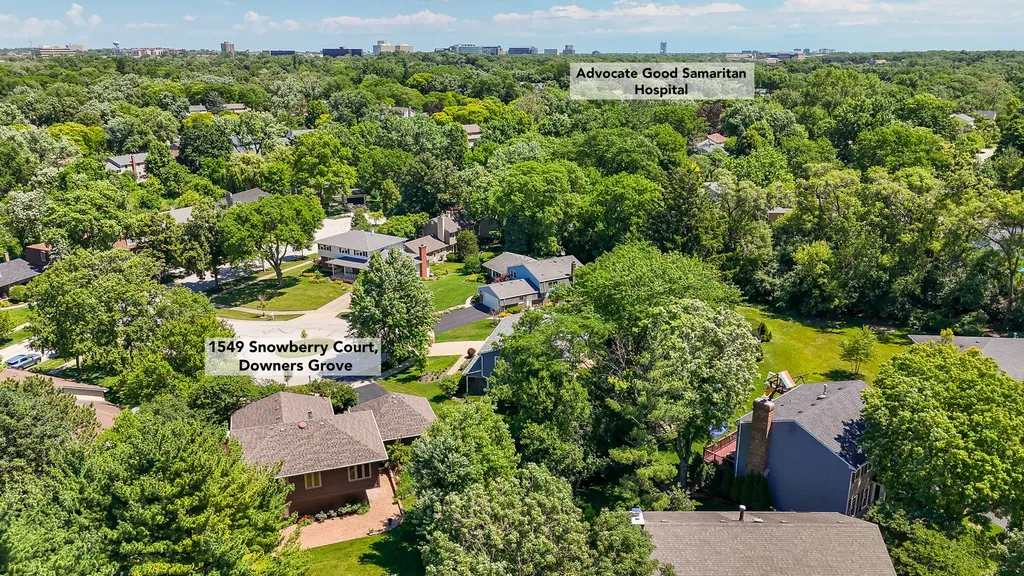 1549 Snowberry Court Downers Grove IL 60515