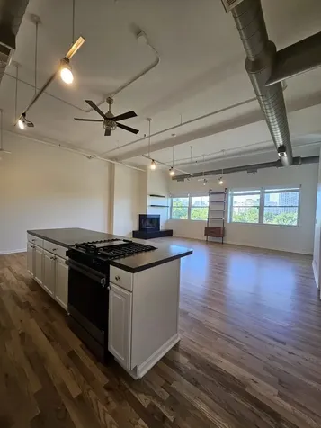 809 North Racine Avenue Chicago IL 60642