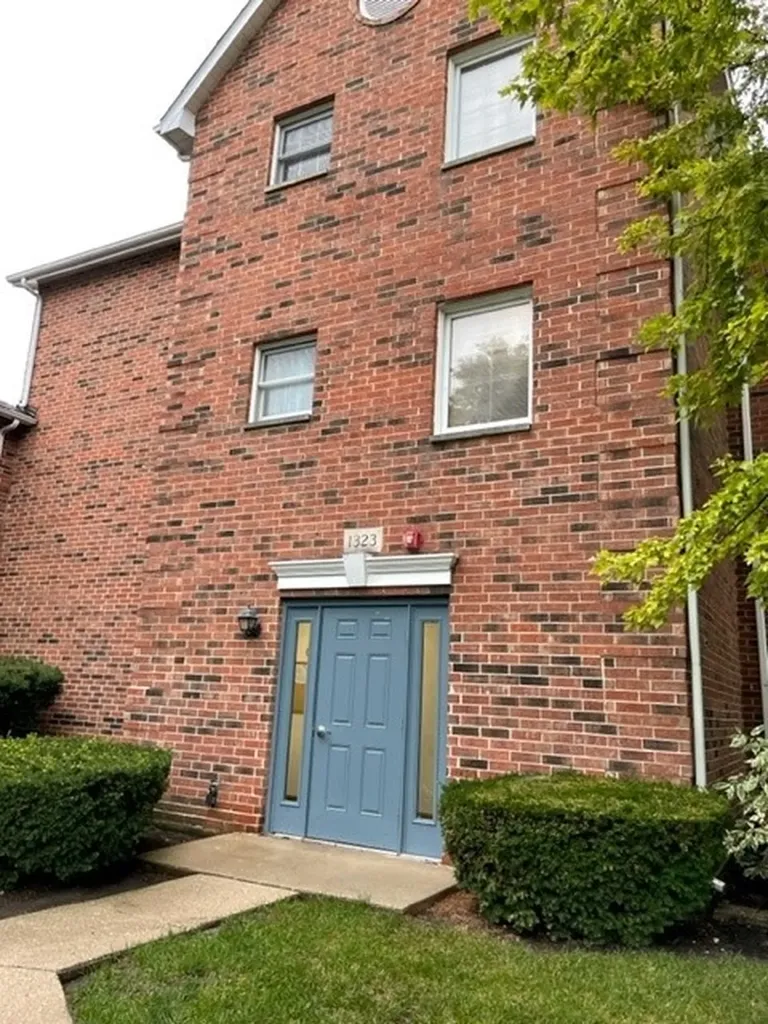 1323 Cunat Court Lake In The Hills IL 60156