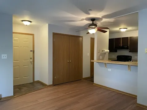 1323 Cunat Court Lake In The Hills IL 60156