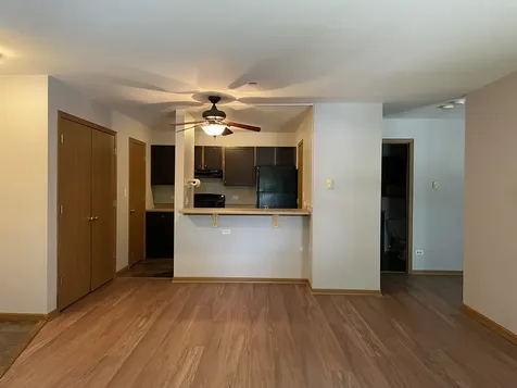 1323 Cunat Court Lake In The Hills IL 60156