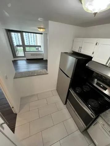 1255 North Sandburg Terrace Chicago IL 60610