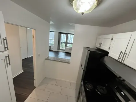 1255 North Sandburg Terrace Chicago IL 60610