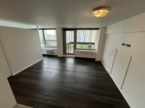 1255 North Sandburg Terrace Chicago IL 60610