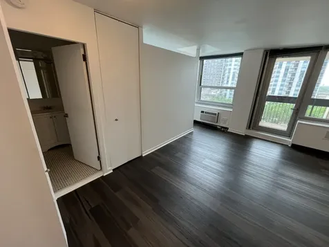 1255 North Sandburg Terrace Chicago IL 60610
