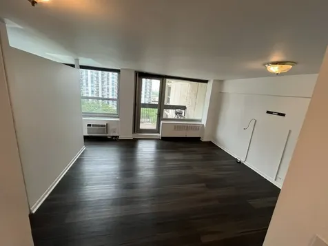 1255 North Sandburg Terrace Chicago IL 60610