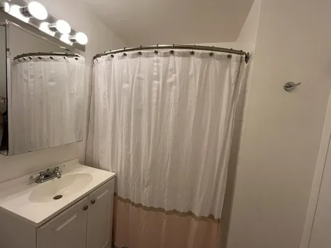 1255 North Sandburg Terrace Chicago IL 60610