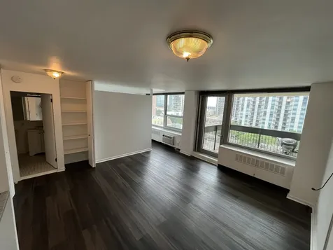 1255 North Sandburg Terrace Chicago IL 60610