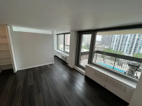 1255 North Sandburg Terrace Chicago IL 60610