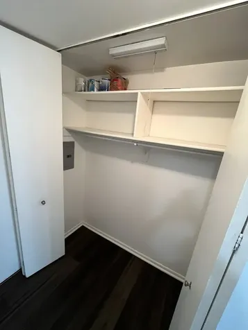 1255 North Sandburg Terrace Chicago IL 60610