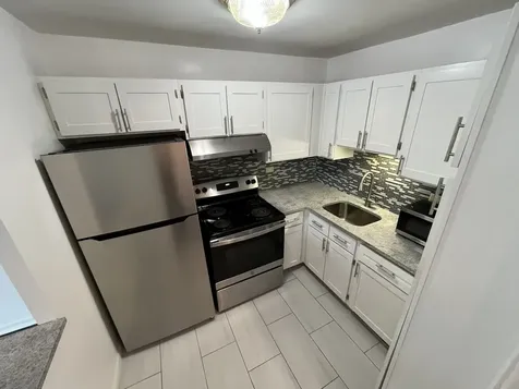 1255 North Sandburg Terrace Chicago IL 60610