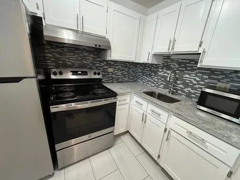 1255 North Sandburg Terrace Chicago IL 60610