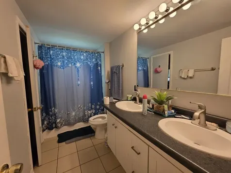 611 Andover Street Chicago Heights IL 60411