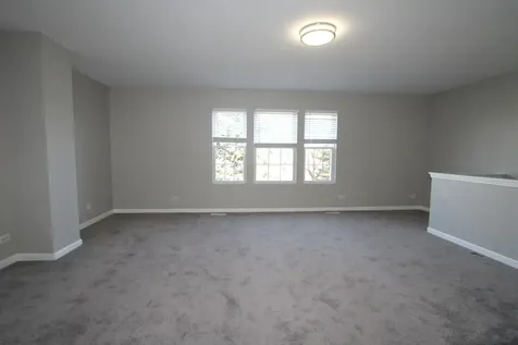 353 Springbrook Trail S Oswego IL 60543