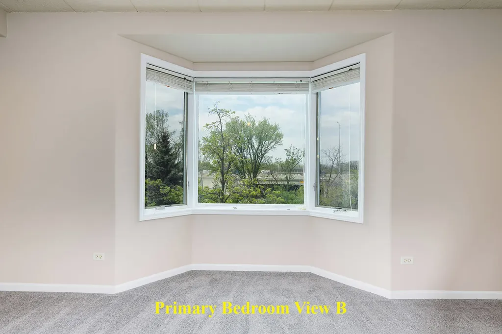 1715 Pavilion Way Park Ridge IL 60068
