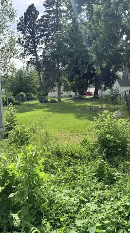 4 South Mulberry Avenue Mount Morris IL 61054