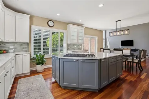 7209 Brae Court Gurnee IL 60031