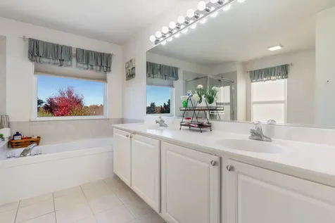 9 Lake Plumleigh Court Algonquin IL 60102