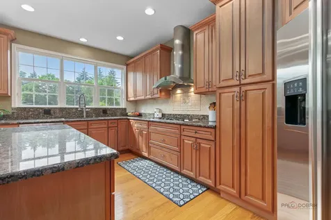 312 Camargo Court Vernon Hills IL 60061