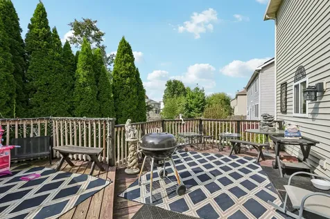 3304 Alyssa Street Plano IL 60545
