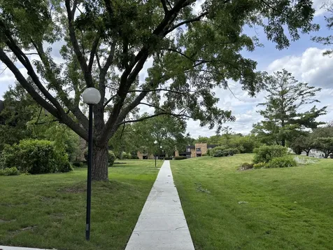 1365 North Sterling Avenue Palatine IL 60067