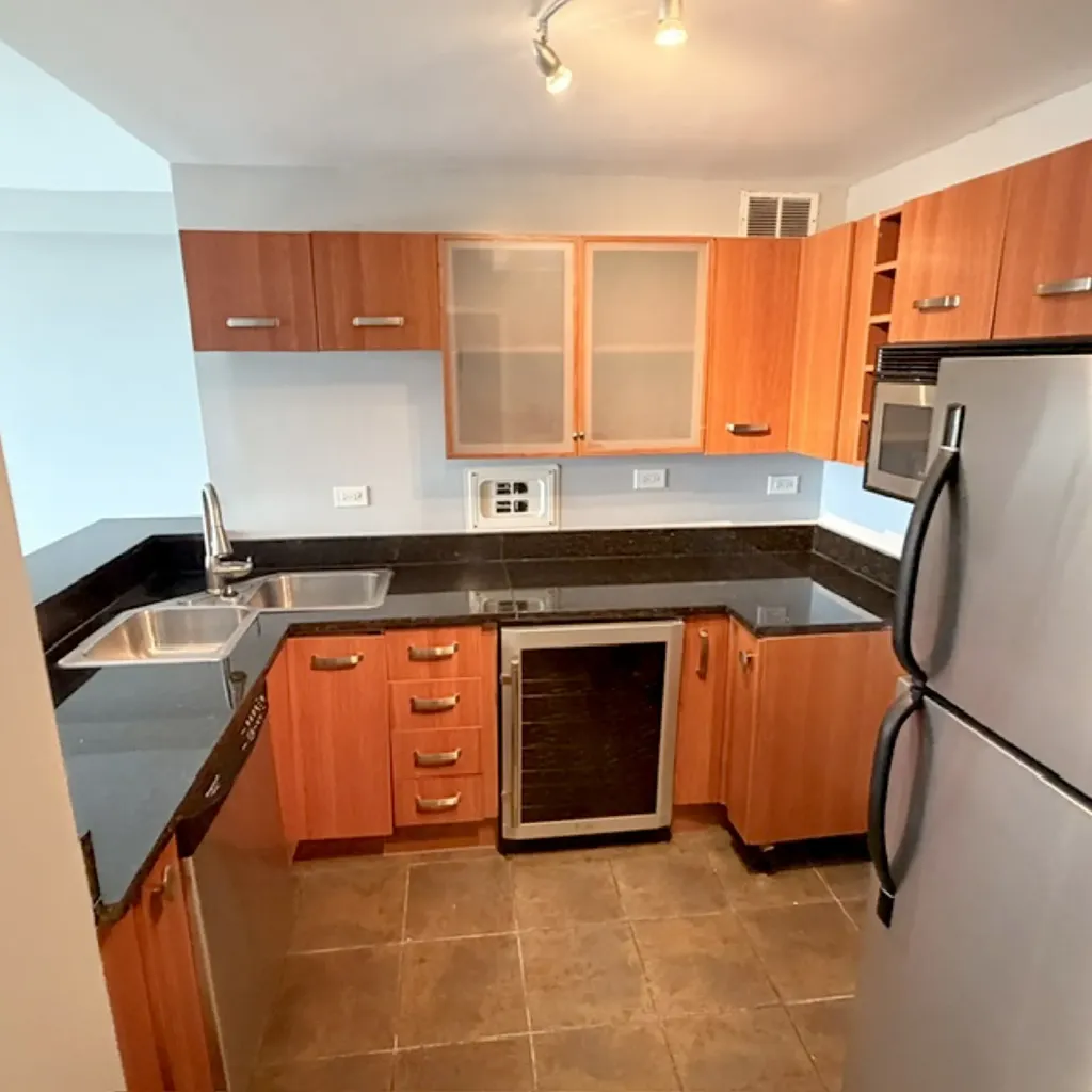 7337 South South Shore Drive Chicago IL 60649