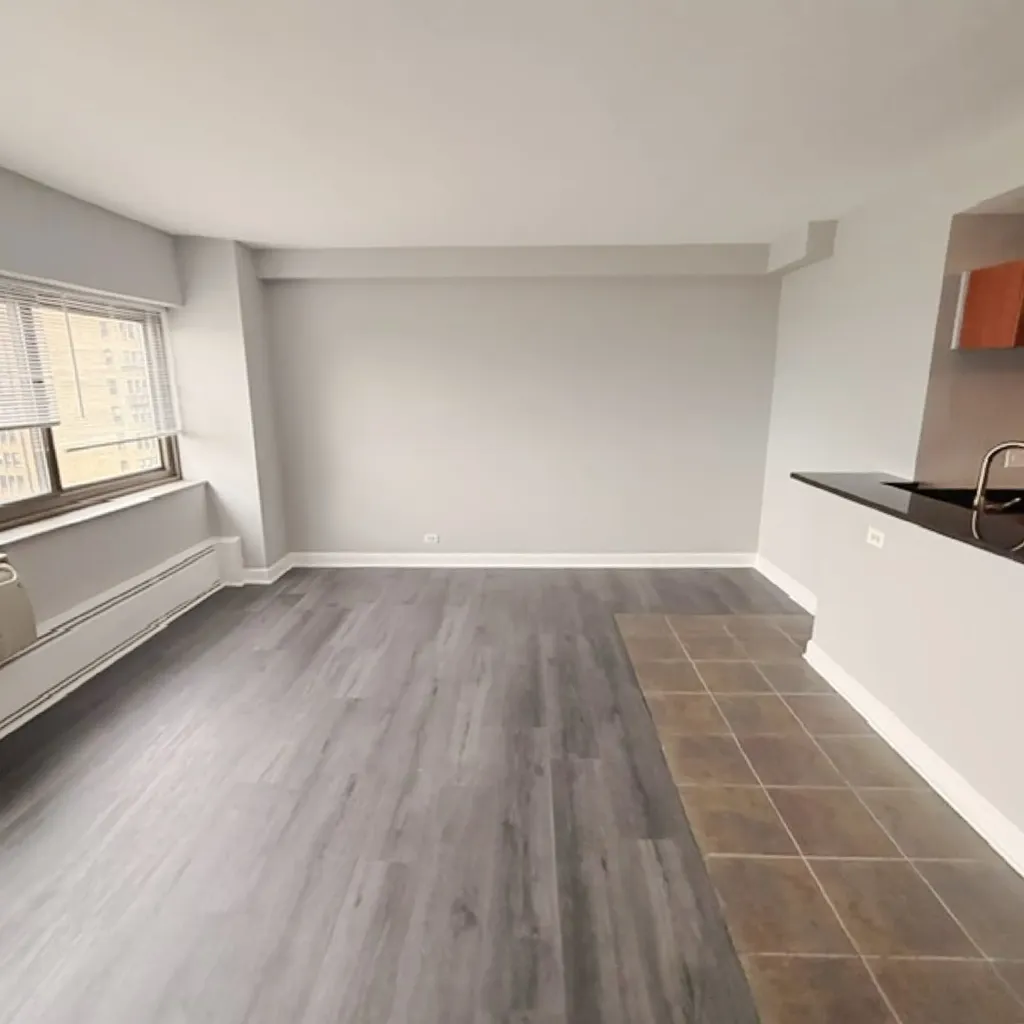 7337 South South Shore Drive Chicago IL 60649