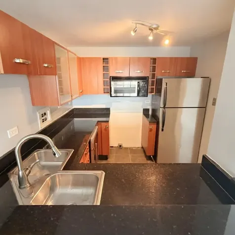 7337 South South Shore Drive Chicago IL 60649