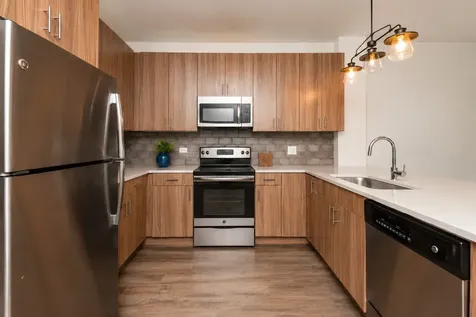 2111 South Halsted Street Chicago IL 60608