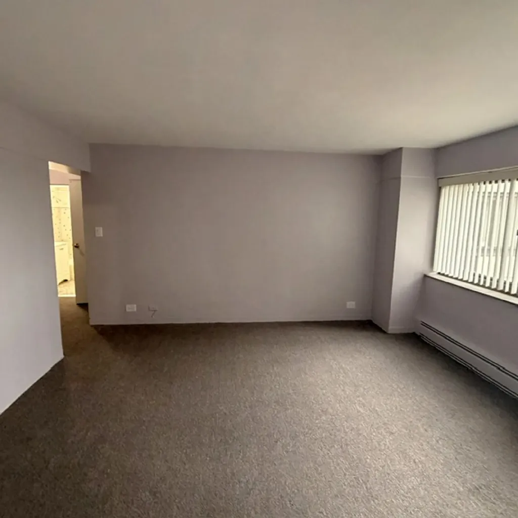 7337 South South Shore Drive Chicago IL 60649