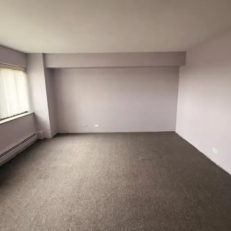 7337 South South Shore Drive Chicago IL 60649
